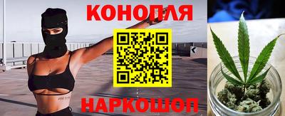 2c-b Кингисепп