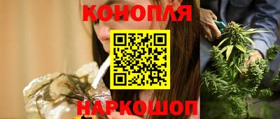 2c-b Кингисепп