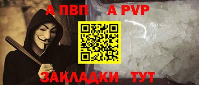 2c-b Кингисепп