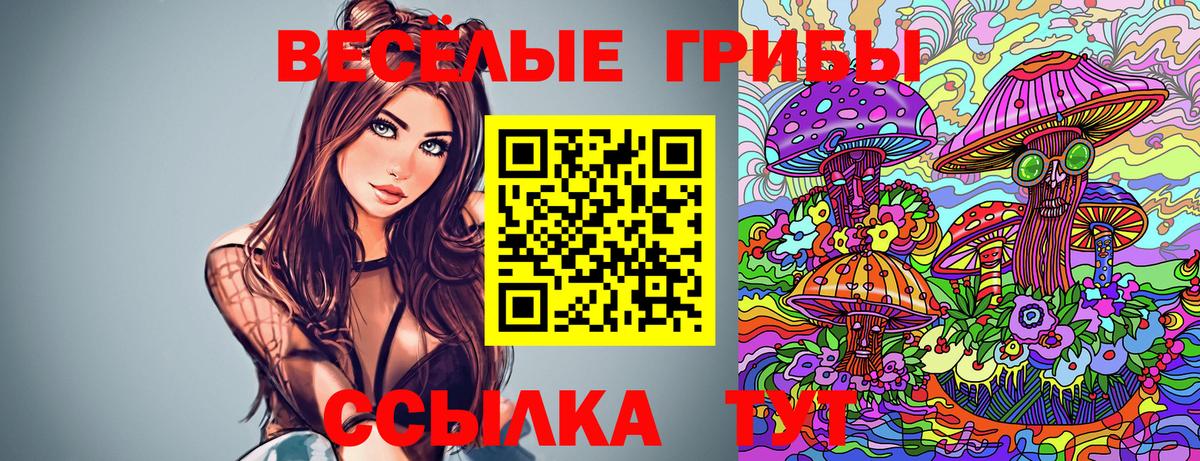 цена наркотик  Вход с VPN  Костомукша  Псилоцибиновые грибы Psilocybine cubensis 