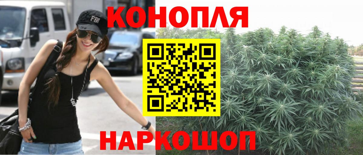 Каннабис Костомукша